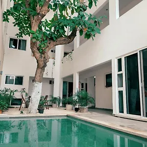 Cozy Zazil-ha Apartahotel